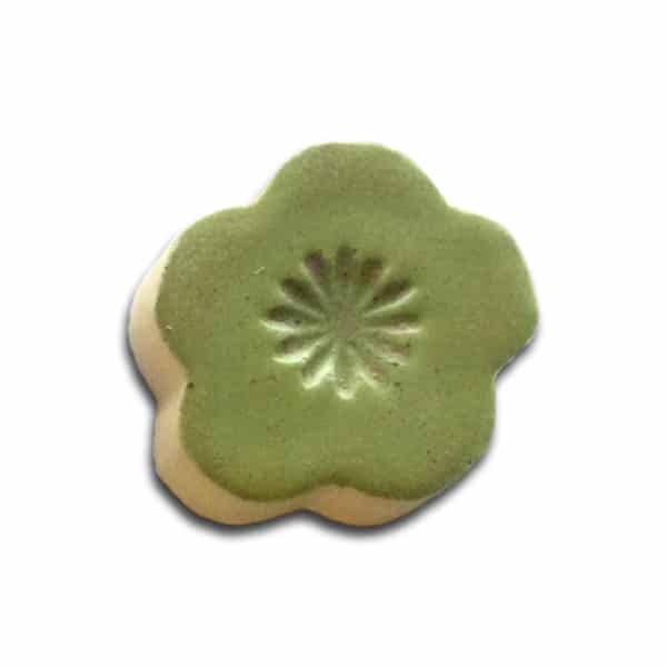 Spectrum Shino - 1404 Wasabi - Pint