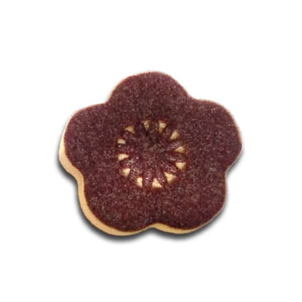 Spectrum Shino - 1407 Aubergine - Pint